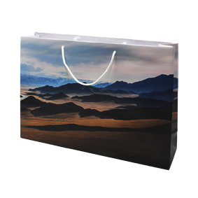 shopping bags quadricromia